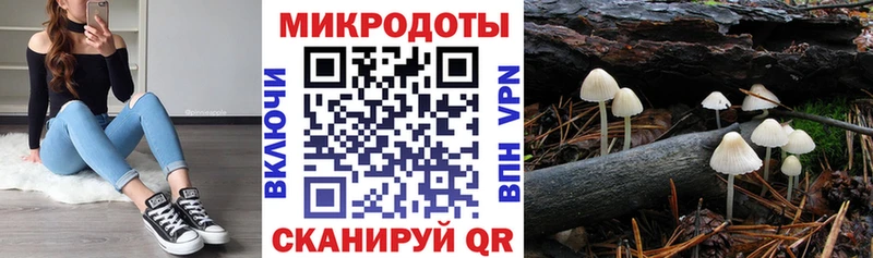 Купить где  Завитинск  Галлюциногенные грибы Cubensis 